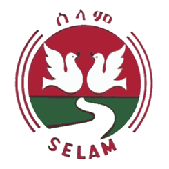 Selam Bus Line Share Company