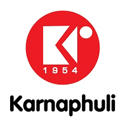 Karnaphuli Group. Shipping and logistics, media, health care, real estate, automobiles, finance, and insurance