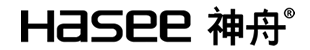 computer manufacturer 