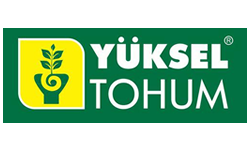 Seed Agriculture Industry 