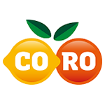 fruit-based uncarbonated soft drinks manufacturer