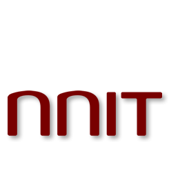 implementation and outsourcing of IT 