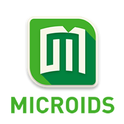 video game developer 