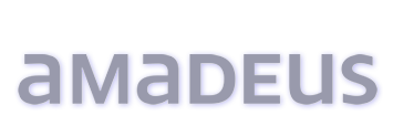technology company. software -  travel and tourism industry. 