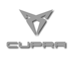 automotive manufacturer 