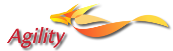 global logistics company. commercial real estate business developing a mega-mall in the UAE; a liquid fuel logistics business; and companies specializing in customs digitization, remote infrastructure services, e-commerce enablement and digital logistics