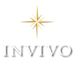wine company 